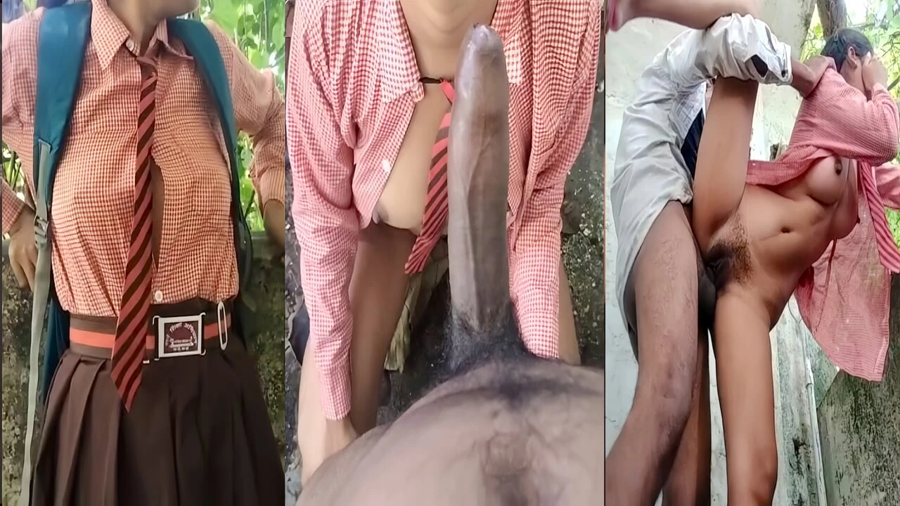 Desi Village School Girl Sex Viral Video